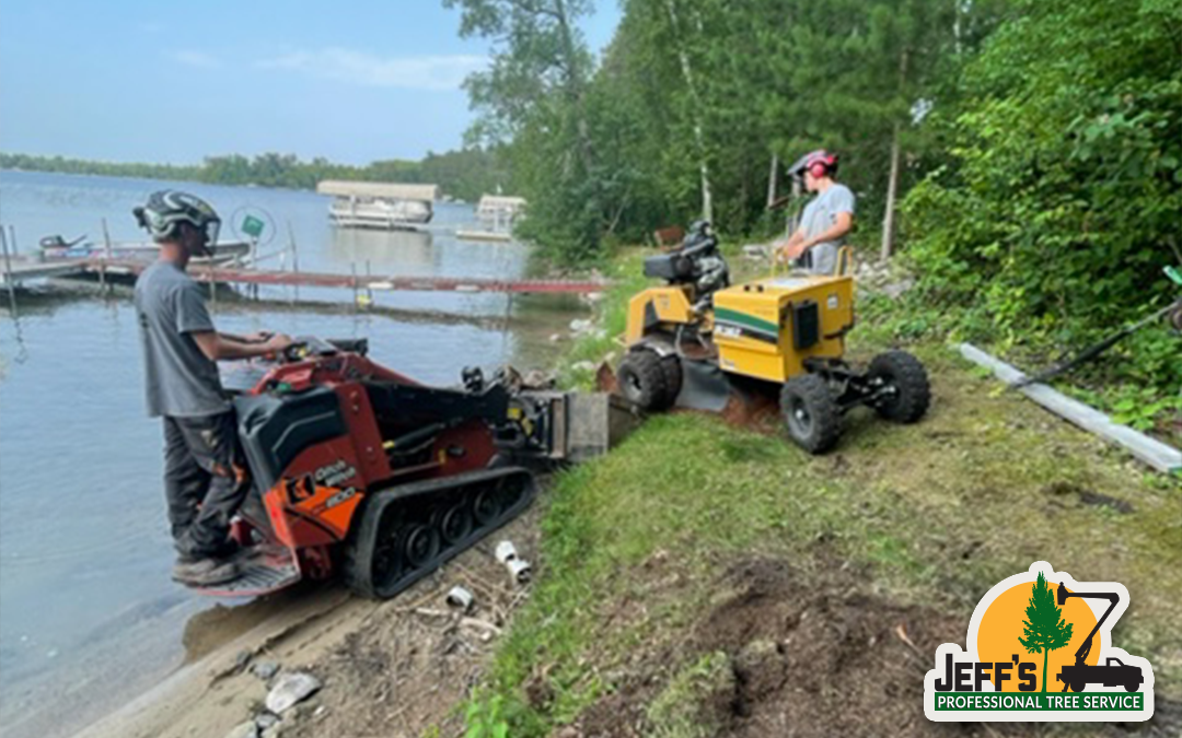 Stump Removal