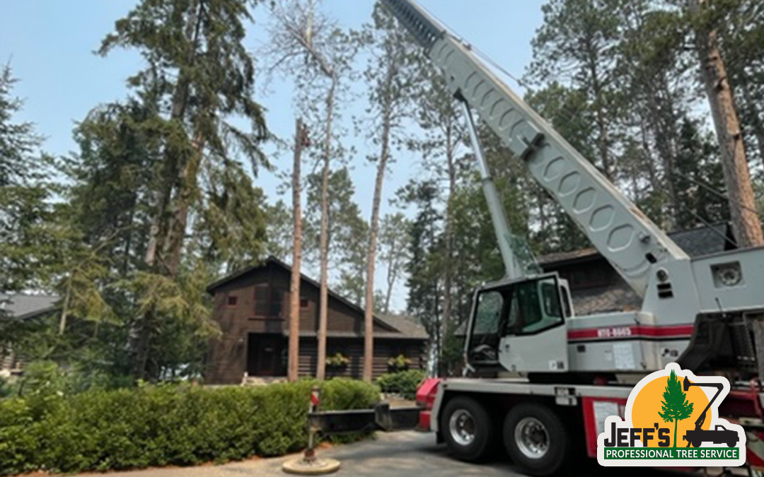 Tree Removal with a Crane