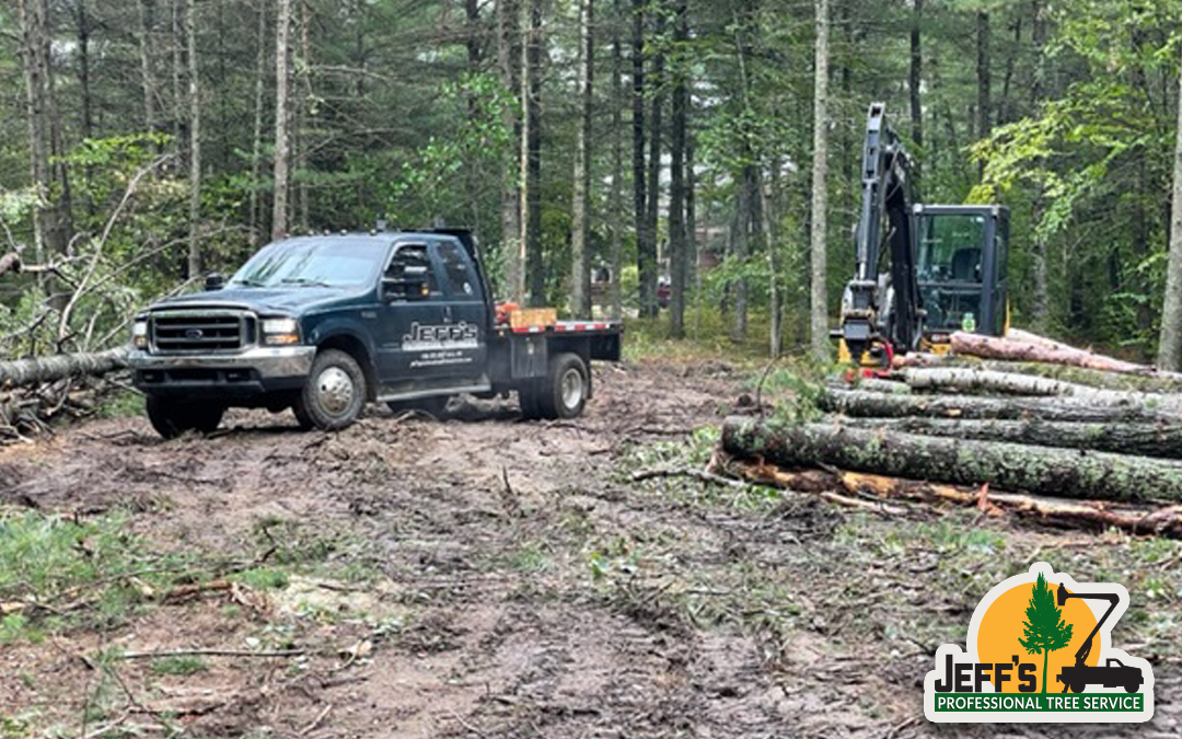 Lot Clearing For a New Cabin