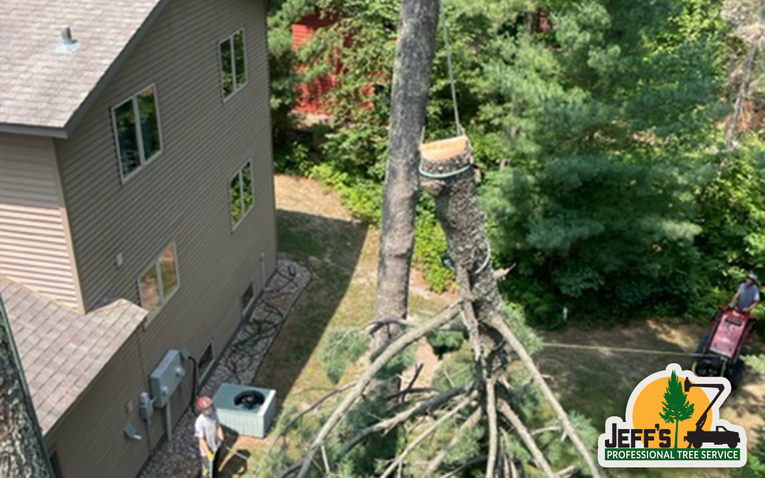 Hanging A Tree Top