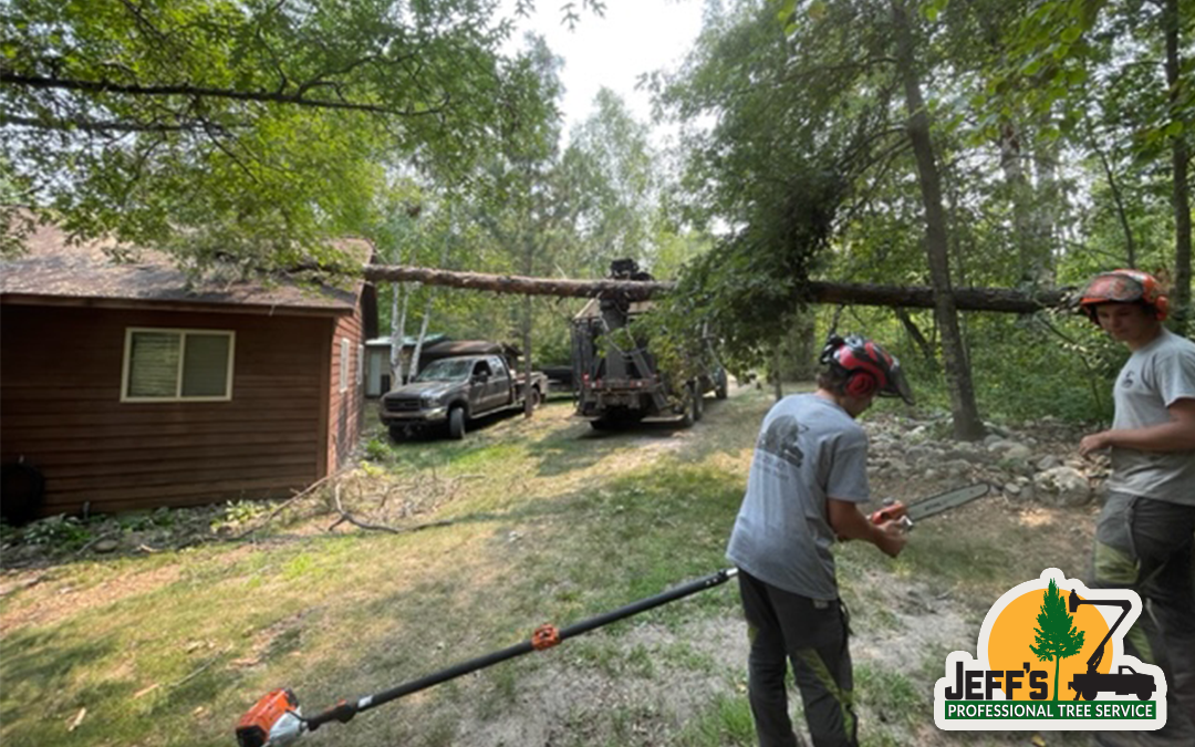 Tree on House After Wind Storm